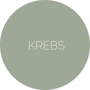 Wie gehe ich mit der Diagnose Krebs um. Und wie meine Angehörigen.
