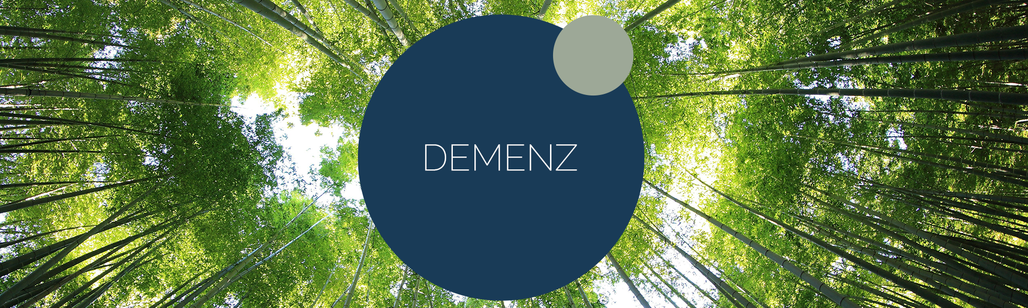 header_demenz_psychotherapie_bochum