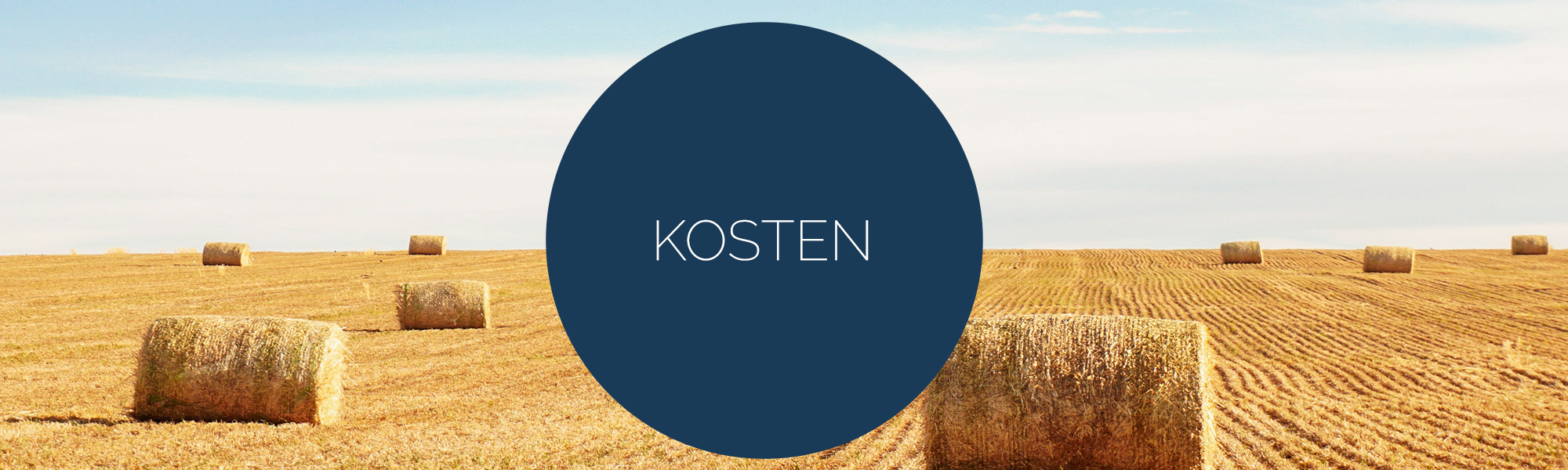 Psychotherapie Kosten Selbstzahler, was zahlt die Krankenkasse